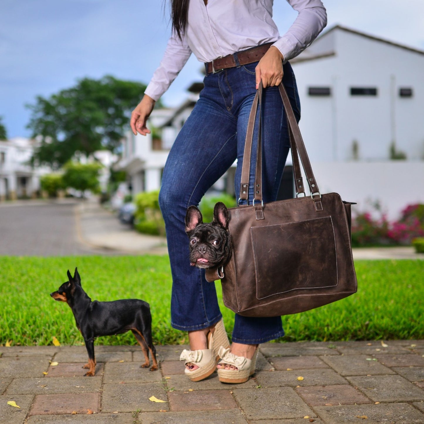 Pooch Tote