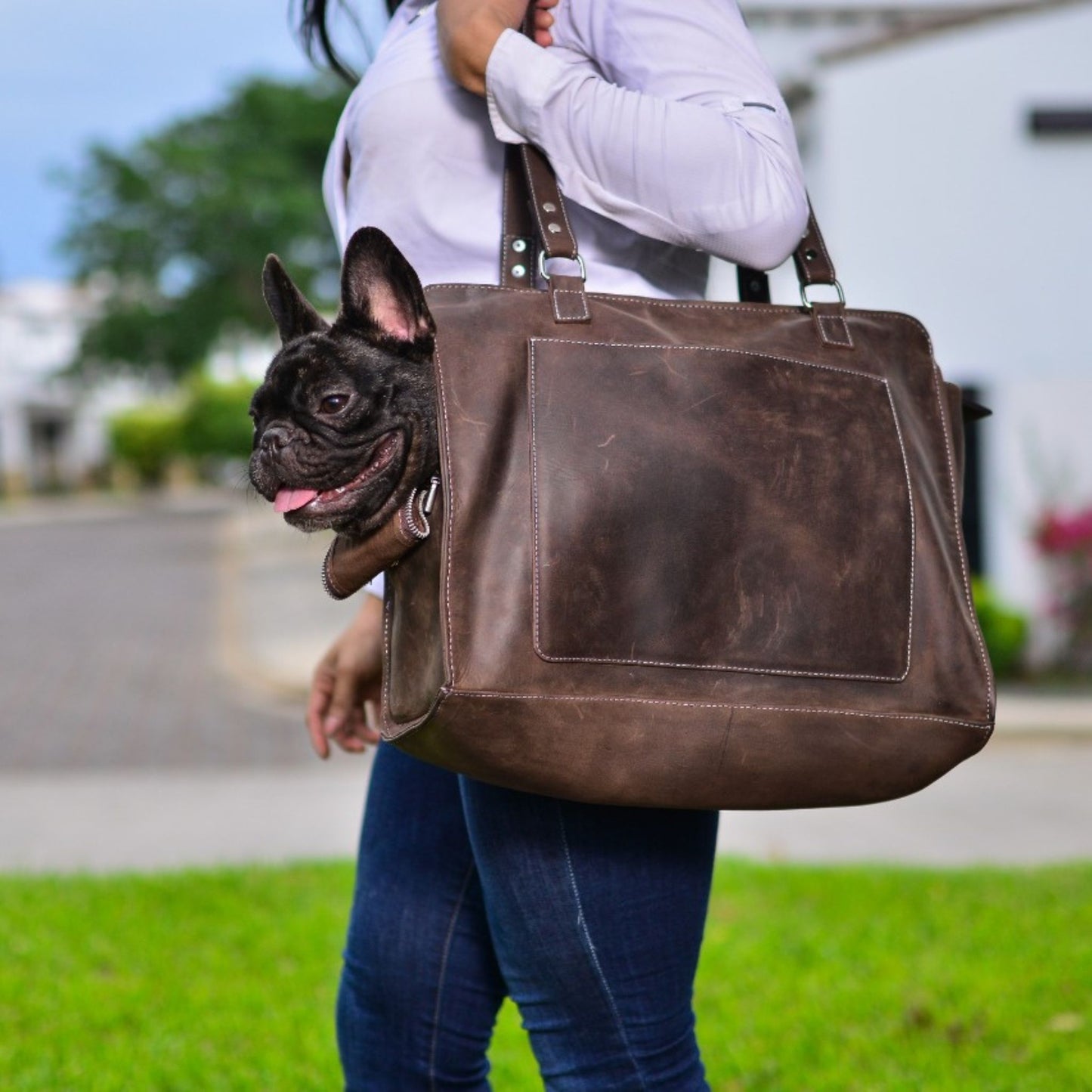 Pooch Tote