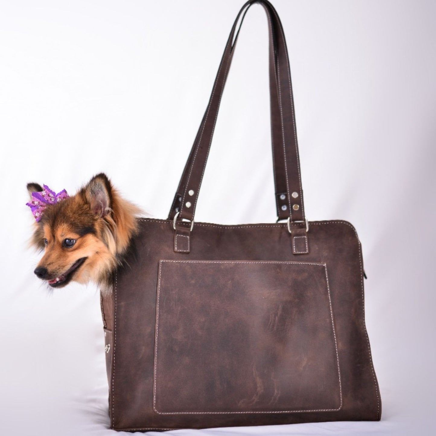 Pooch Tote