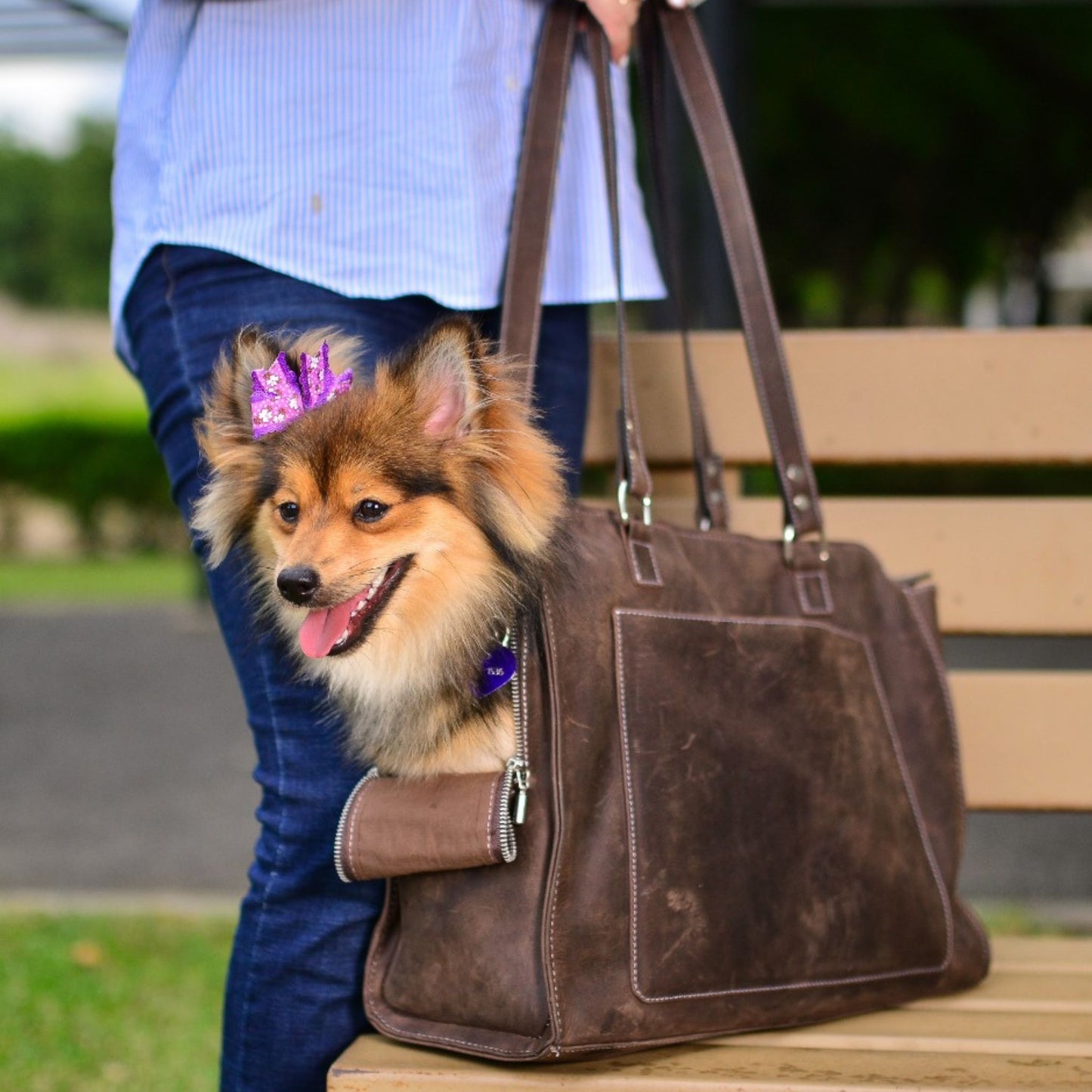 Pooch Tote